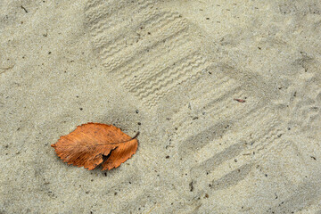 Old dry leaf and footprint of a shoe in the sand