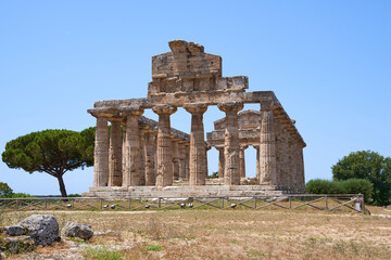 Fototapeta na wymiar View on the Athena Temple from the Unesco World Heritage Site in Paestum. The facility is located in the Campania region of Italy. Ancient Greek culture in southern Italy.