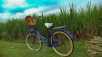 Fototapeta premium bicycle in the grass