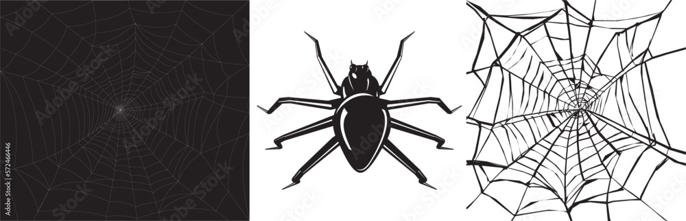 Wall mural a spider with a web of two variants. the vector is editable.