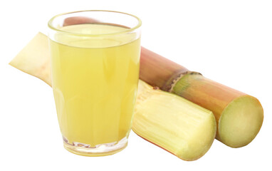 Piece of sugarcane juice