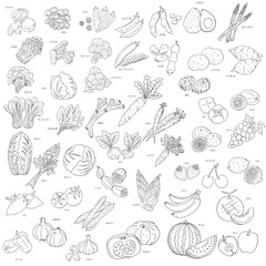 食材～野菜とフルーツ・線画～