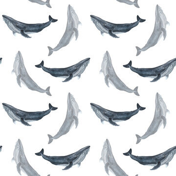 Dolphin, killer whale and blue whale. Purple stars and paint stains. Watercolor seamless pattern.