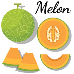 illustrasion of melon set