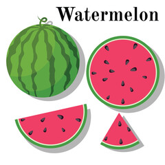 illustrasion of Watermelon set