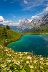 Plakat swiss lake and mountains