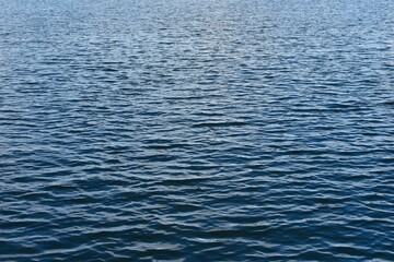 Background of calm blue water.