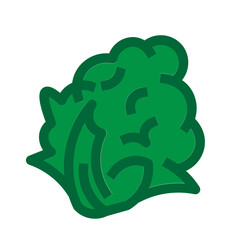 Cauliflower Flat Icon