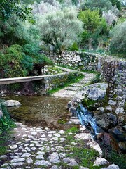 Stream with a small waterfall in the middle of a path surrounded by trees