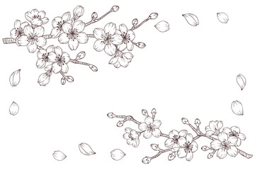 枝に咲いている桜のスケッチ風パーツイラストセット　白塗り線画、ベクター