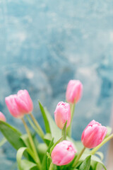 Pink tulips close-up on a beautiful turquoise scenic background. Background for Valentine's Day. Gift for Mother's Day or Women's Day