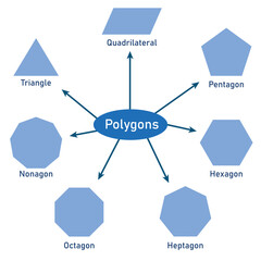 Types of regular polygons. Triangle, Quadrilateral, Pentagon, Hexagon, Heptagon, Octagon, Nonagon shapes. Vector illustration isolated on white background.