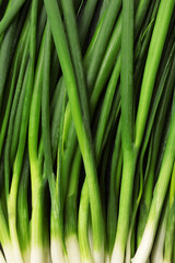 Fresh green spring onions as background, top view