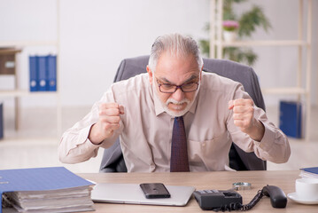 Old male employee working in the office