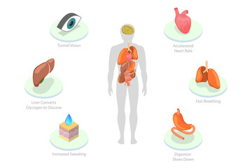 3D Isometric Flat  Conceptual Illustration of Stress Response