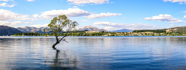 panoramic view of wanaka tree, new zealand