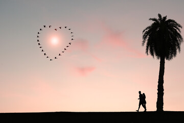 Silhouette of man and woman walking in nature and looking at sky with birds flying in heart shape, concept of love