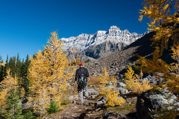 Fototapeta premium Hiking Lake O'Hara to Lake McArthur Trail in autumn. Yoho National Park, Canadian Rockies.
