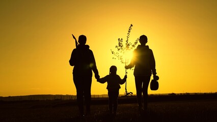 Silhouette of family with tree. Family with shovel, watering go to plant young tree, in rays of sunset. Dad is farmer, mom is child planting tree. Happy family team planting trees in spring time.