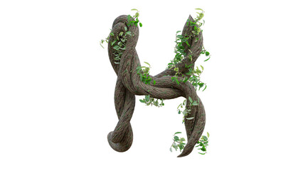 Fototapeta premium Tree grow or vine in the shape of the English text. Letter font H. 3D Render.