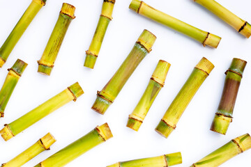 Sugar cane on white background.