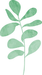 Watercolor wedding floral leaf branch