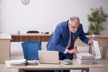 Old male employee working in the office