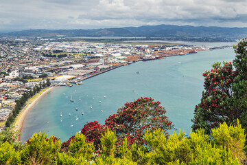 View of Tauranga sea port from Mount Maunganui, New Zealand