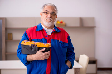 Old male carpenter working indoors
