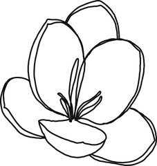 minimal botanical graphic sketch line art drawing, trendy tiny tattoo design, floral elements vector illustration