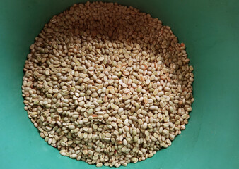 Coffee beans,In the ferment and wash method of wet processing
