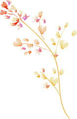 watercolor leaf and flower. Botanical illustration minimal style.
