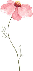 Obraz na płótnie Canvas watercolor leaf and flower. Botanical illustration minimal style. 