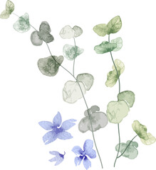 watercolor leaf and flower. Botanical illustration minimal style. © babeer