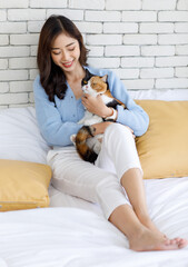 Millennial Asian young kindly cheerful female owner sitting leaning on pillows on cozy sofa bed hugging cuddling cute little domestic kitten tricolor furry pussycat pet friend in bedroom at home