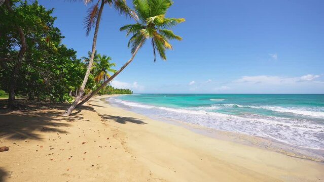 Summer beach on the ocean or sea, a paradise with yellow sand, palm trees and blue calm water. Travel to an exotic resort. Summer vacation and tropical pool concept.