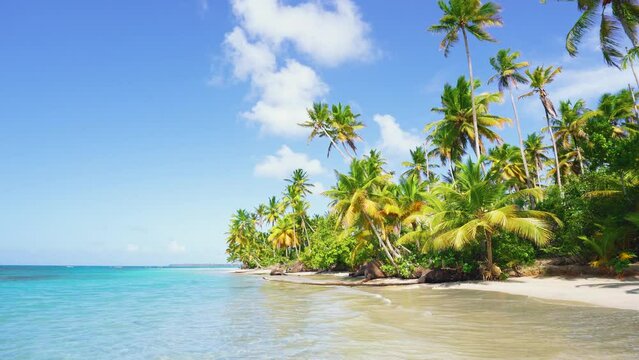 Sunny day on the beach with bright palm trees, sea and blue sky with clouds. Tropical island for travel during holidays. Caribbean coastline with natural scenery. Beautiful postcard with a seascape.