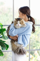 Millennial Asian young female owner standing smiling holding showing love playing with cute fat tabby long hair little domestic kitty furry purebred pussycat pet friend in arms in living room at home
