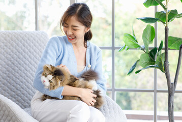 Millennial Asian young female owner standing smiling holding showing love playing with cute fat tabby long hair little domestic kitty furry purebred pussycat pet friend in arms in living room at home