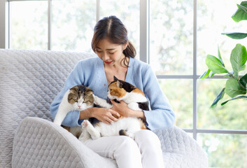 Millennial Asian young female owner sitting on cozy armchair smiling holding hugging cuddling showing love with two cute fat tabby short hair little domestic kitty furry purebred pussycat pet friend