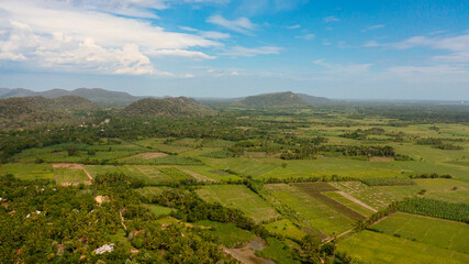 Fototapeta na wymiar Aerial drone of agricultural land with green plantings in the rural area. Sri Lanka.