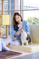 Millennial Asian young female owner sitting on cozy sofa couch smiling holding feeding treat short hair cute little domestic kitten furry purebreed pussycat pet friend in living room with wood tower