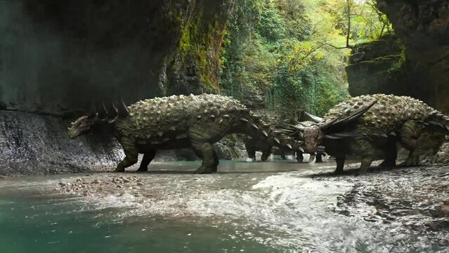 3D render animation of group of ankylosaurus dinosaurs at the river in the forest in a prehistoric setting, herbivorous dinosaurs