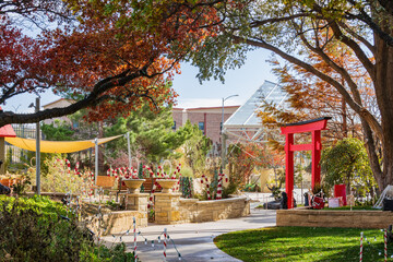 Daytime view of the Japanese garden of Amarillo Botanical Gardens