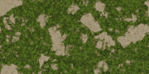 Dry meadow land with grass seamless background. Ecology terrain backdrop. Summer desert with mossy...