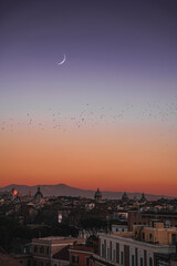 sunset rome italy birds flying moon
