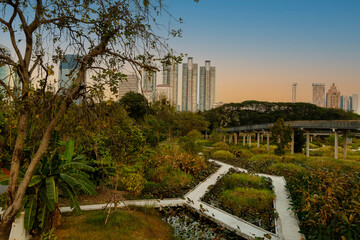 Benjakitti Forest Park, is new landmark public park of central Bangkok in Bangkok, Thailand.