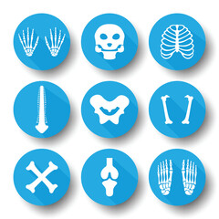 Cartoon skeleton body parts vector icons. set of human bone illustration and bone x-ray.
