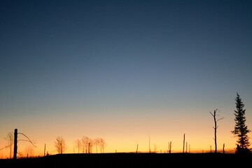 Dawn in the north woods
