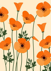 seamless pattern with poppy flowers